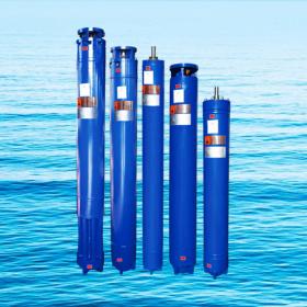 Submersible motors with RITZ Standard